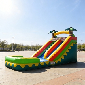 Château gonflable <span class=keywords><strong>avec</strong></span> toboggan aquatique, toboggan gonflable aquatique, château gonflable <span class=keywords><strong>avec</strong></span> toboggan et <span class=keywords><strong>piscine</strong></span> pour enfants et adultes - Product Image 1
