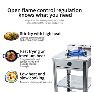 Appareils de cuisine à domicile au design moderne Double brûleur autoportant 150mm Brûleur en fonte robuste Table de cuisson à <span class=keywords><strong>gaz</strong></span> Cuisinière à <span class=keywords><strong>gaz</strong></span> combinée - Product Image 2