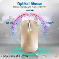 Ratón Inalámbrico de Modo Dual con Clic Silencioso, Recargable, con LED RGB, Óptico, para Computadora Portátil, Venta al Por Mayor del Fabricante, OEM/ODM
