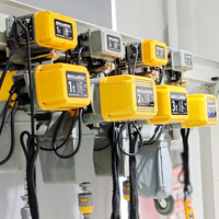 Offre Spéciale 220 V 220 Volts Industriel 500Kg 1000Kg 500 1000Kg 5Ton 1 2 3 5 7.5 10 Tonnes Grue De Levage Palan À Chaîne Électrique Avec Chaîne