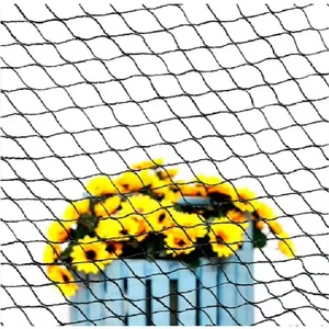 Bán Buôn Durable Polyester <span class=keywords><strong>Nylon</strong></span> HDPE <span class=keywords><strong>Bird</strong></span> Lưới Chống Xói Mòn Trắng Trong Suốt Thắt Nút Chống Chim Nhựa Lưới Cắt - Product Image 4