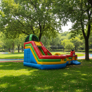 Toboggan <span class=keywords><strong>gonflable</strong></span> coloré en PVC de haute qualité, directement de l'usine, pour adultes et enfants, idéal pour les locations de jeux extérieurs et les fêtes. - Product Image 2