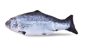 Đồ Chơi Cá Mèo Sạc USB Vui Nhộn Bằng Điện Mới - Product Image 2