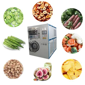 Food Freeze Dryer Machine Vegetable Fruits Drying Machine Low Price Dryer