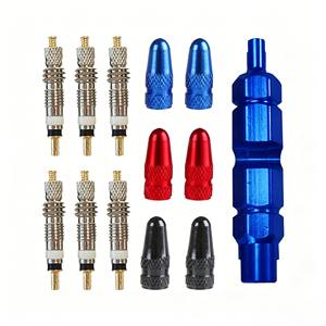 Kit de Válvulas Presta OEM-CG con Adaptador y Llave, Convertidor de Presta a Schrader, Juego de Herramientas de Reparación de Bicicletas para Bicicletas de Carretera y MTB - Product Image 2