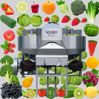 T/H commercial industriel CXJ-10 automatique de machine de nettoyage de fruit 5-10 Surf-dactylographiez la machine à laver végétale
