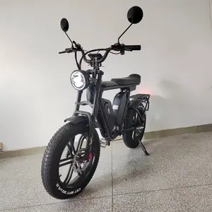 Electric Bike EU Standard 48V250W Pedal Assistant Only 25kmh Dual Battery 44Ah Long Range Fat Tire Electric Bicycle Wholesale