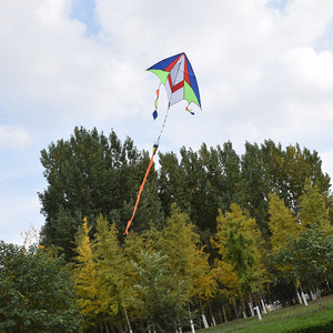 شركة مصنعة للبيع بالجملة توفر طائرة ورقية سهلة الطيران عالية الجودة للأطفال متعة رياضة الشاطئ طائرة ورقية كبيرة جميلة مخصصة كبيرة - Product Image 6