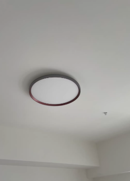 Gary + orange-rouge 50cm 50W