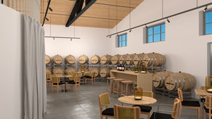 Solution de conception d'environnement de boutique de luxe pour vignobles, aménagement personnalisé de caves à vin et équipement professionnel pour magasins d'alcool - Product Image 4