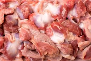 Gésiers de poulet surgelés BQF de qualité supérieure, grade A, vente en gros pour hôtels, restaurants et traiteurs, durée de conservation de 24 mois, importateurs mondiaux - Product Image 5