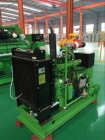 Générateur de puissance à moteur au biogaz de 80 kW 100 kVA homologué CE pour l'industrie avicole moderne, économique et efficace