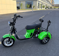Scooter Eléctrico de Tres Ruedas, Plegable, con GPS, Batería de Litio Impermeable, Canasta Grande, Alta Capacidad de Carga 330kg, Citycoco