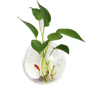 3pcs 29.5cm populaire créatif transparent acrylique suspendu aquarium mural transparent acrylique pot de fleur décoration