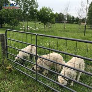 คอกแกะและแพะแกะแผงเลี้ยงปศุสัตว์แผงเลี้ยงแกะสไตล์ US - Product Image 2