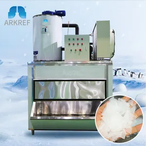 ARKREF il più venduto 1 ~ 10 tonnellate di fiocco macchina del ghiaccio fiocco macchina creatore di ghiaccio per il mercato del pesce
