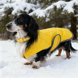 Veste d'hiver écologique de luxe pour chien, imperméable, rembourrée en coton, Bassotto, Wiener, Dachshund, Hamburg, Teckel - Product Image 2