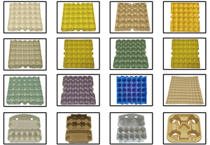 Produzione di vassoio di carta macchina per lo stampaggio di pasta - Product Image 6