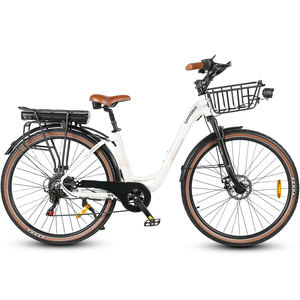 DDP现代迷你成人28英寸超级Samebike带500瓦锂电池250瓦后轮毂电机踏板辅助模式电动自行车 - Product Image 3