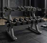 Équipement de gym : Support hexagonal pour haltères DFT KJ-1283, machine de musculation commerciale