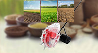 Sembrdor De Hortalizas Fabriqué en Chine Machine à semer le blé et le maïs à pousser à la main Semoirs et transplanteurs Machines de plantation de semences