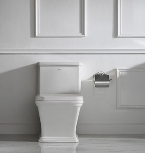 <span class=keywords><strong>Bolina</strong></span>-inodoro de cerámica de doble empotrado para baño, inodoro de una pieza montado en el suelo - Product Image 1