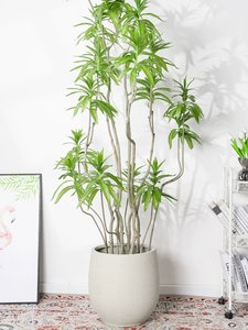 Maceta Grande <span class=keywords><strong>de</strong></span> Estilo Nórdico Minimalista, Transpirable, <span class=keywords><strong>de</strong></span> Arcilla <span class=keywords><strong>de</strong></span> Magnesio y Cemento, para Sala <span class=keywords><strong>de</strong></span> Estar, Centro Comercial o Uso en Exteriores, con Plantas en Maceta - Product Image 2
