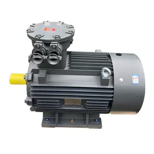 2P-8P 7.5kW YBX3 motore elettrico a induzione trifase antideflagrante/ignifugo con CE ed ExdIICT4