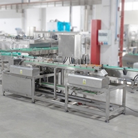 LWT Déshydrateur automatique pour conserves de poisson 180° à l'envers, pour sacs et pochettes en plastique de qualité alimentaire