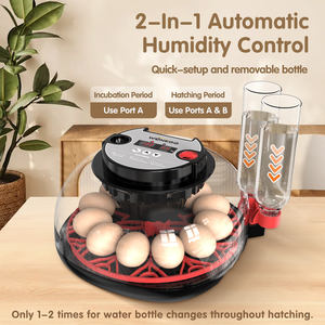 Mini incubateur à <span class=keywords><strong>œufs</strong></span> entièrement <span class=keywords><strong>automatique</strong></span> à économie d'énergie, capacité de <span class=keywords><strong>12</strong></span> <span class=keywords><strong>œufs</strong></span>, meilleure qualité avec contrôle de l'humidité - Product Image 6