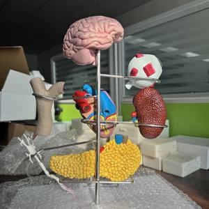 Haute qualité vente chaude <span class=keywords><strong>diabète</strong></span> formation médicale modèle d'enseignement cadeau <span class=keywords><strong>de</strong></span> décoration <span class=keywords><strong>de</strong></span> table - Product Image 5