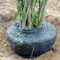 Panier de grillage en métal de filet de boule de racine de greffe d'arbre
