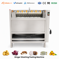 Acheter une machine à laver et à peler le curcuma et le gingembre Acheter une machine à laver et à peler le curcuma et le gingembre Brosse à radis Machine de nettoyage