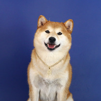 Collier en or avec pendentif Dollar pour animaux de compagnie, motif Bouledogue Français, style célébrité d'Internet, pour le commerce extérieur