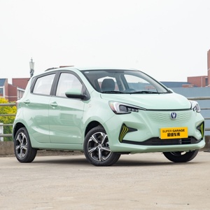 Coche changan benben Depósito <span class=keywords><strong>e</strong></span>-star changan-benben <span class=keywords><strong>e</strong></span> Star qinxin <span class=keywords><strong>DD</strong></span> 2020 2022 EV mini coche eléctrico de 4 plazas más barato - Product Image 4