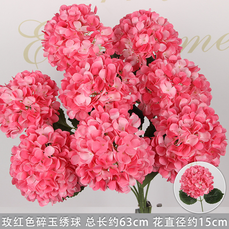 Hortensia rose-rouge avec feuilles