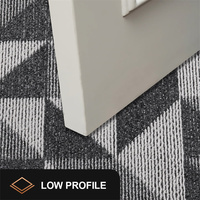 Tapis d'entrée absorbant pour intérieur, anti-dérapant, anti-salissures, lavable en machine, profil bas