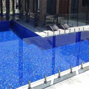 Acier inoxydable de haute qualité noir mat SS304/316/2205 - Garde-corps de piscine en verre avec embout - Product Image 3