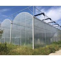 Serre de culture biologique à tunnel pour l'élevage d'escargots Serre hydroponique à film plastique pour tomates laitue concombre