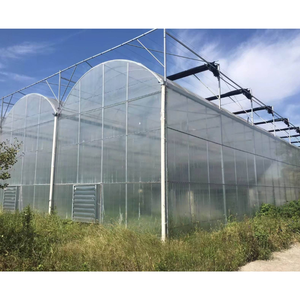 Serre de culture biologique à tunnel pour l'élevage <span class=keywords><strong>d</strong></span>'escargots Serre hydroponique à film plastique pour tomates laitue concombre - Product Image 3