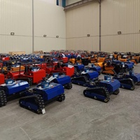 Tondeuse à gazon robotisée à chenilles en caoutchouc pour l'agriculture, moteur diesel CE Euro 5, pour les bords de route et la foresterie