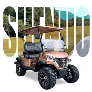 Hai người Mini ezgo Golf điện <span class=keywords><strong>Buggy</strong></span> EEC chứng nhận mưa Tính năng thay thế cho giỏ hàng khí - Product Image 1