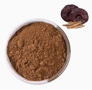 Tự nhiên màu đỏ Reishi Nấm bị hỏng bào tử chiết xuất bột <span class=keywords><strong>Ganoderma</strong></span> <span class=keywords><strong>lucidum</strong></span> tường-bị hỏng bào tử bột để bán - Product Image 2