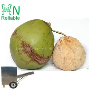 High performance coconut dehusking machine