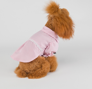 <span class=keywords><strong>Amazon</strong></span> en çok satan köpek giysileri Pet T-shirt moda Pet giyim aksesuarları ve sahibi eşleşen giysi Pet giysi Vip - Product Image 3