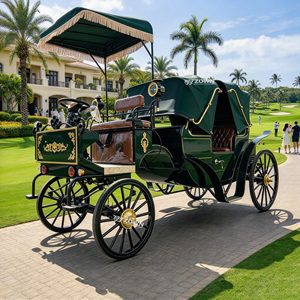 Voiture électrique de tourisme pratique avec auvent imperméable et aménagement centré sur l'homme pour les visites des jardins botaniques et des parcs d'attractions - Product Image 1