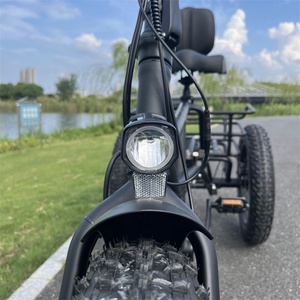 Vélo tricycle <span class=keywords><strong>couché</strong></span> cargo électrique à trois <span class=keywords><strong>roues</strong></span> personnalisé en gros pour la livraison - Product Image 4