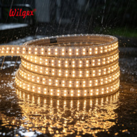 Bande LED ultra-longue de 40 m, IP65, résistante à la pluie et aux éclaboussures, double rangée de perles, 180 LED/m, découpable à 50 cm avec embout et pince