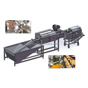 Machine à sécher les œufs avec détection optique pour la sortie des œufs pourris - Product Image 4