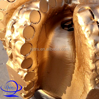API ISO 5 Blade Pdc Mining Bit avec Petroleum 13 5/8 ''PDC Cutter pour équipement de forage de mine de charbon